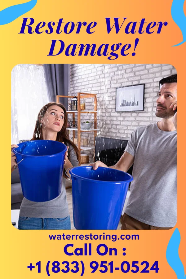 water restoration Ace Water Repair Professionals Los Barreras