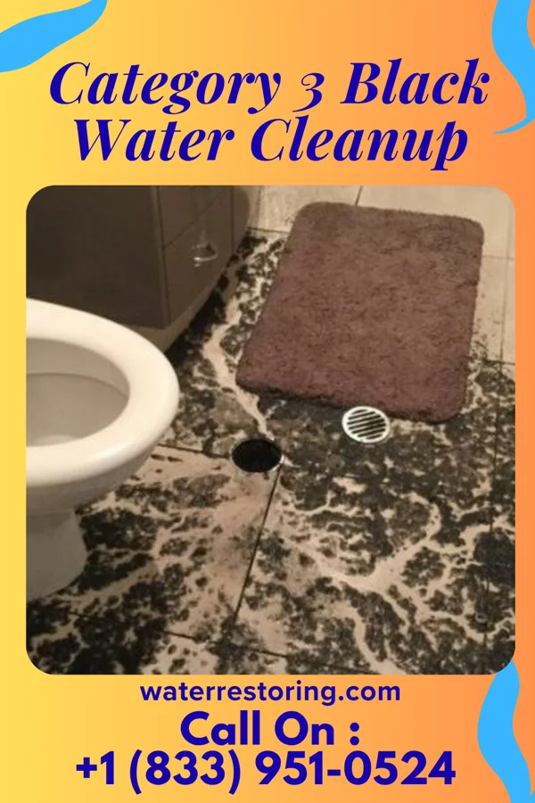 Category 3 Black Water Cleanup in Los Barreras, TX