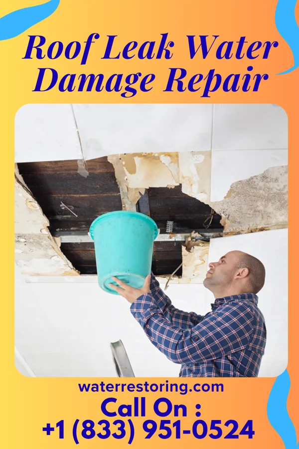 Roof Leak Water Damage Repair in Los Barreras, TX